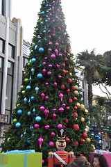 November 17: Downtown Disney Christmas Tree